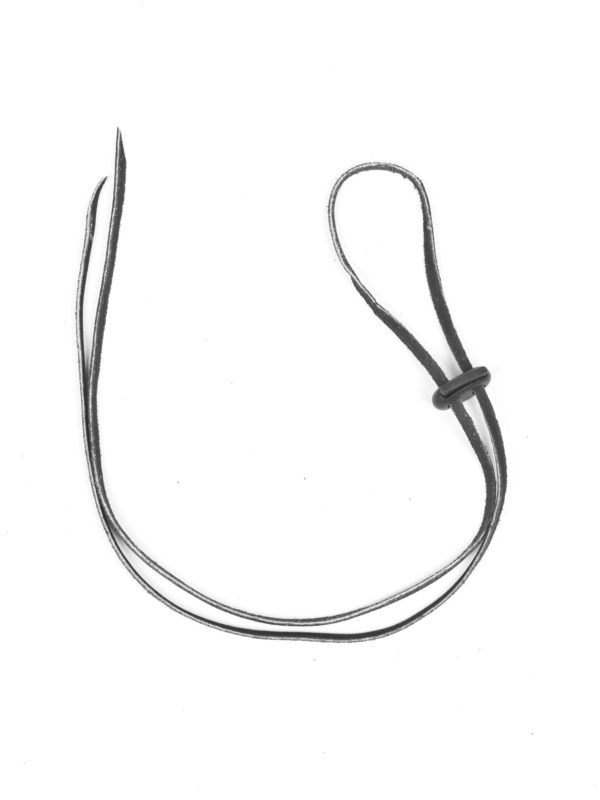 Chinstrap