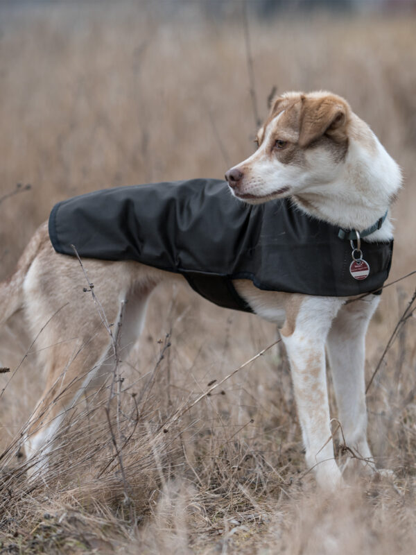 DriTec Dog Coat