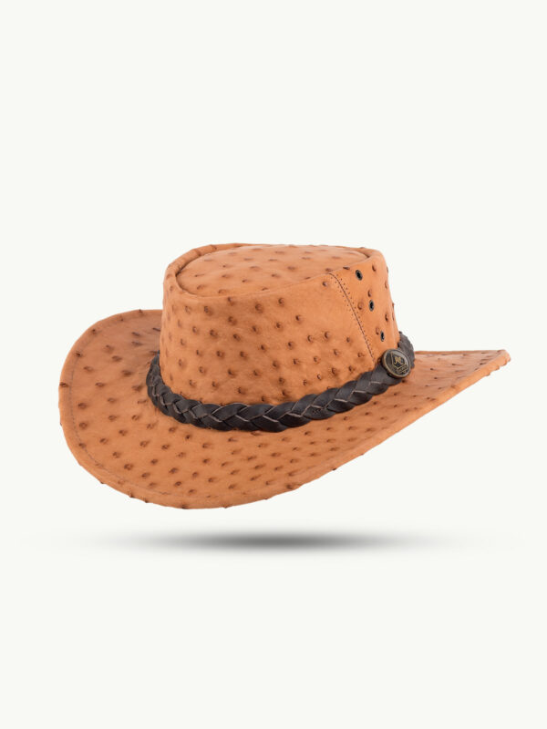 Ostrich